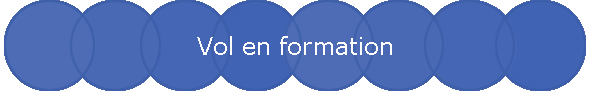 Vol en formation