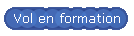 Vol en formation
